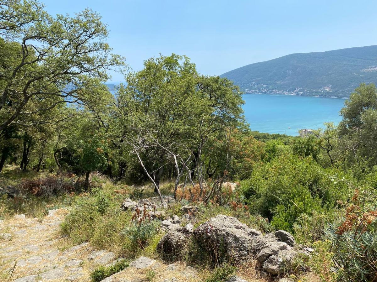 Adria Sea & Mountains Leilighet Herceg Novi Eksteriør bilde